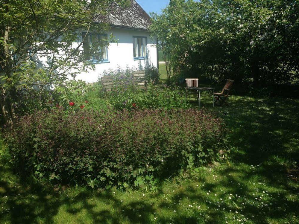 Raevakra B&B Hammenhog Екстер'єр фото